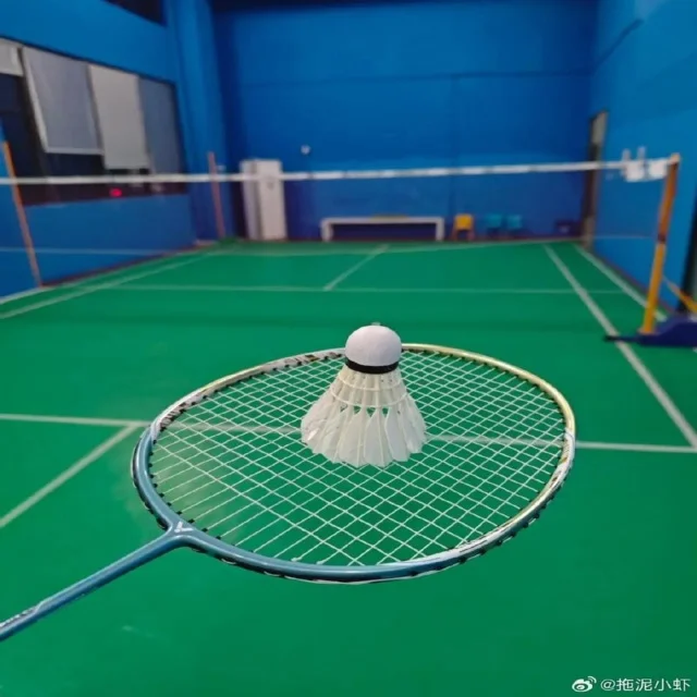 数据洞察：世界杯参赛队训练数据解析